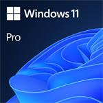 Microsoft  Windows 11 Pro 64-bit CZ DVD OEM 