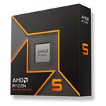 AMD Ryzen 5 9600X