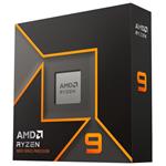 AMD Ryzen 9 9900X