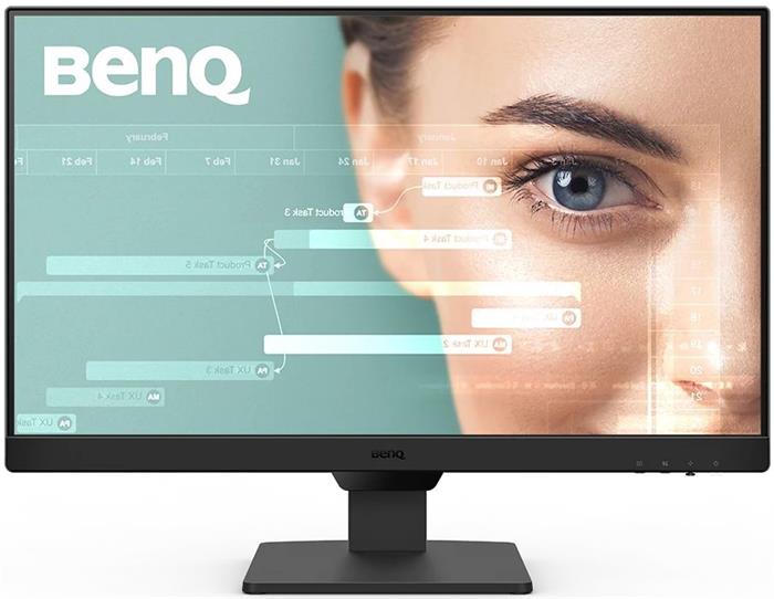 BenQ BL2490