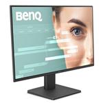 BenQ GW2491