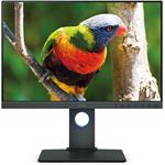 BenQ SW240, 24" IPS, 1920x1200@60Hz, 16:10, 250cd, 99% AdobeRGB, HW kal