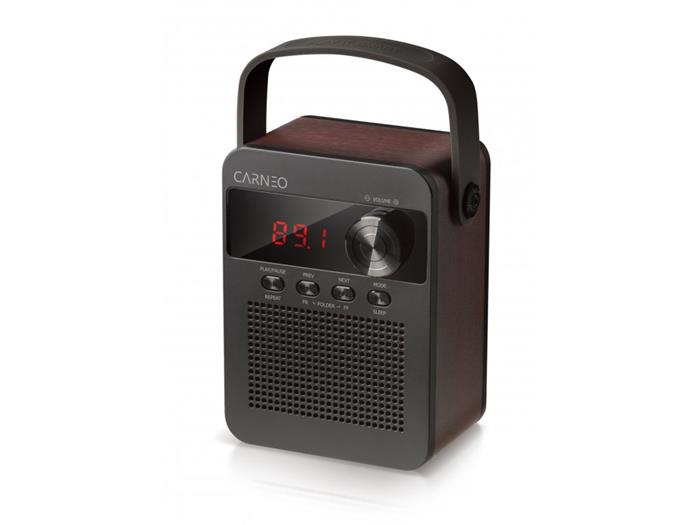 CARNEO F90 FM rádio, BT reproduktor, black/wood