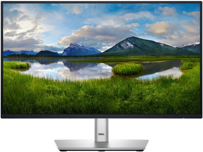 Dell Professional P2225H