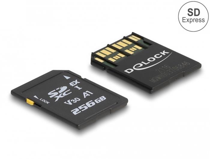 Delock 256GB SD Express paměťová karta, 858R/804W