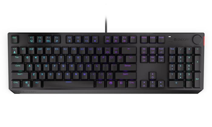 Endorfy herní klávesnice Thock Blue / USB / blue sw. / drátová / mech. / US / / PBT double-shot keycaps / černá RGB