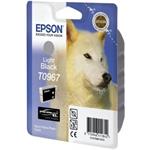 Epson C13T09674010, light black