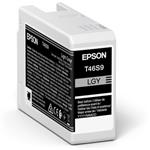 Epson Singlepack Light Gray T46S9 Ultrachrome