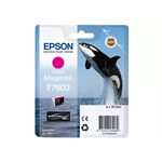 Epson T7603 Ink Cartridge Vivid Magenta