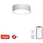 IMMAX NEO RONDATE SLIM SMART stropní svítidlo 25 x 7cm 18W Zigbee 3.0, TUYA, bílé