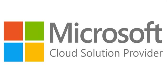 Microsoft Windows CSP Server 2022 - 1 User CAL