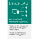 MS OEM Windows Server CAL 2016 EN 1pk 5 Device CAL