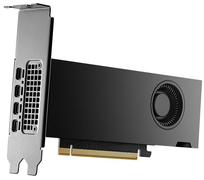 PNY NVIDIA RTX 2000 Ada