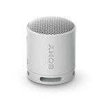 Sony SRS-XB100 Grey